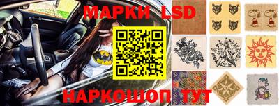 крисы Новокубанск