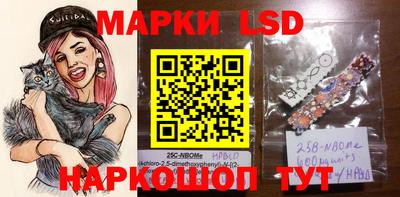 МДПВ Новозыбков