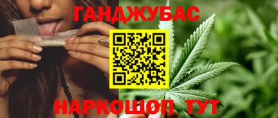 МДПВ Новозыбков