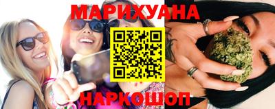 крисы Новокубанск