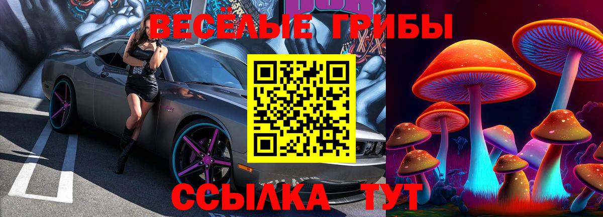 Псилоцибиновые грибы GOLDEN TEACHER  Галлюциногенные грибы Psilocybine cubensis  хочу наркоту  Шатура  Вход с VPN 